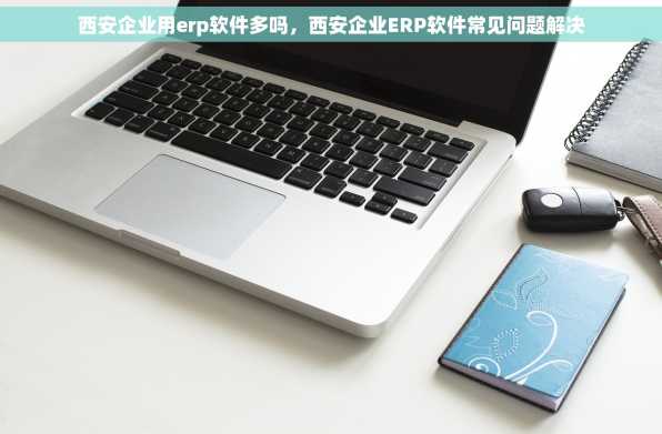 西安企业用erp软件多吗，西安企业ERP软件常见问题解决