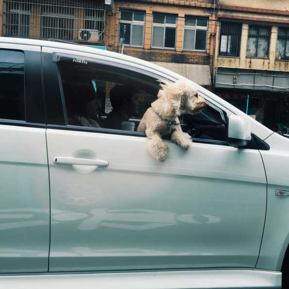 西安纸板erp排车 告别低效，西安纸板ERP提升排车效率%以上