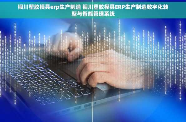 铜川塑胶模具erp生产制造 铜川塑胶模具ERP生产制造数字化转型与智能管理系统