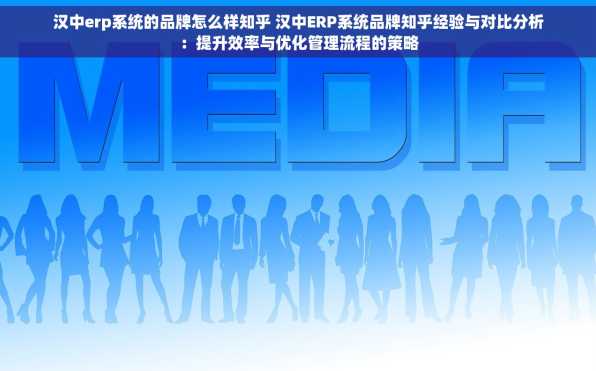 汉中erp系统的品牌怎么样知乎 汉中ERP系统品牌知乎经验与对比分析：提升效率与优化管理流程的策略