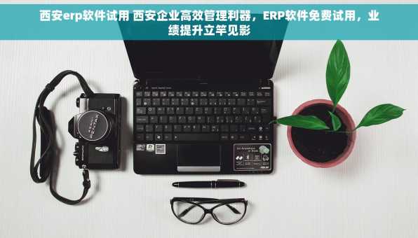 西安erp软件试用 西安企业高效管理利器，ERP软件免费试用，业绩提升立竿见影