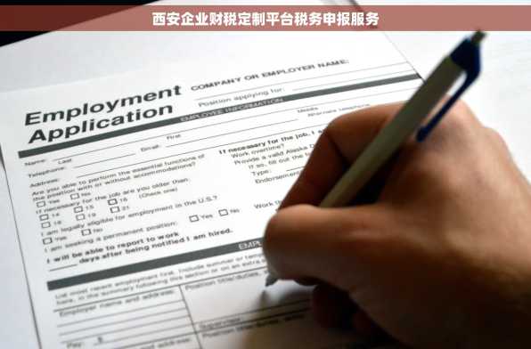 西安企业财税定制平台税务申报服务