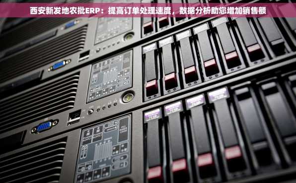 西安新发地农批ERP：提高订单处理速度，数据分析助您增加销售额