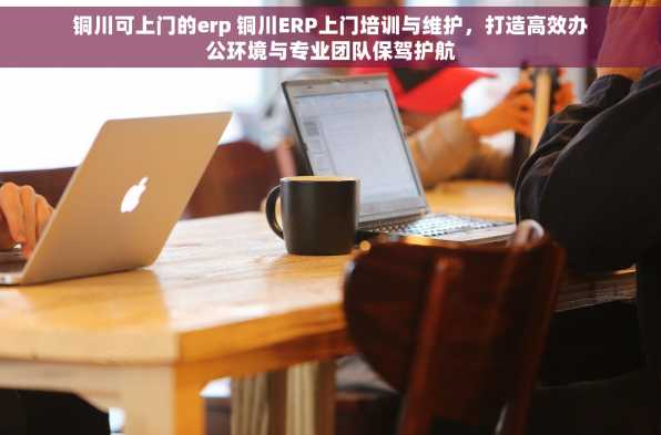 铜川可上门的erp 铜川ERP上门培训与维护，打造高效办公环境与专业团队保驾护航