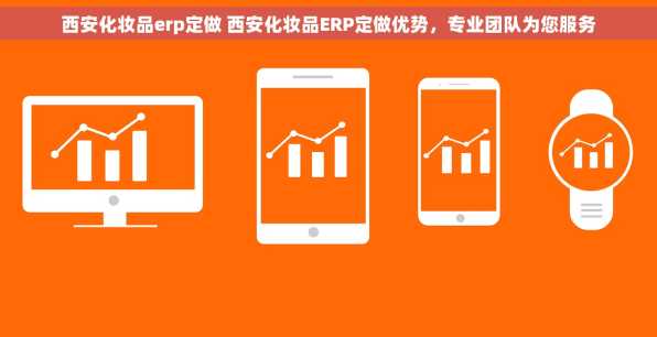 西安化妆品erp定做 西安化妆品ERP定做优势，专业团队为您服务