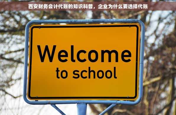 西安财务会计代账的知识科普，企业为什么要选择代账