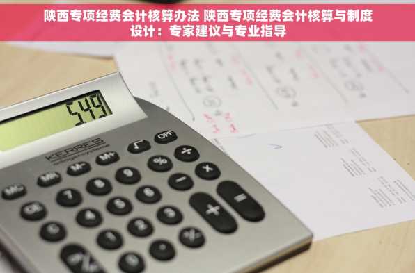 陕西专项经费会计核算办法 陕西专项经费会计核算与制度设计：专家建议与专业指导