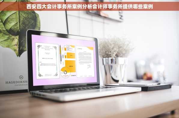 西安四大会计事务所案例分析会计师事务所提供哪些案例