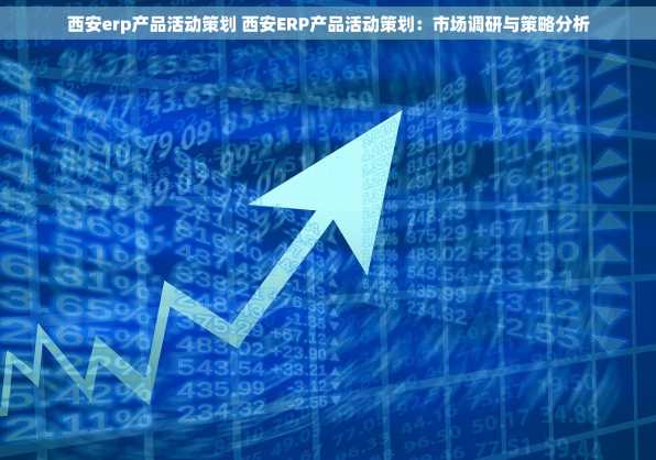 西安erp产品活动策划 西安ERP产品活动策划：市场调研与策略分析