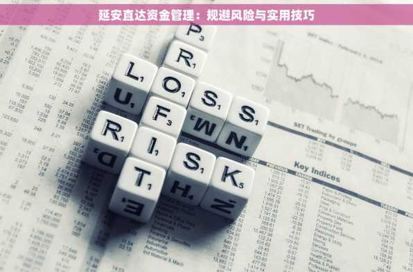 延安直达资金管理：规避风险与实用技巧