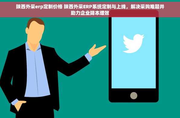 陕西外采erp定制价格 陕西外采ERP系统定制与上线，解决采购难题并助力企业降本增效