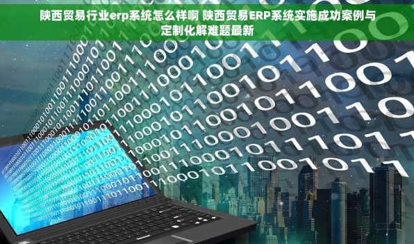 陕西贸易行业erp系统怎么样啊 陕西贸易ERP系统实施成功案例与定制化解难题最新