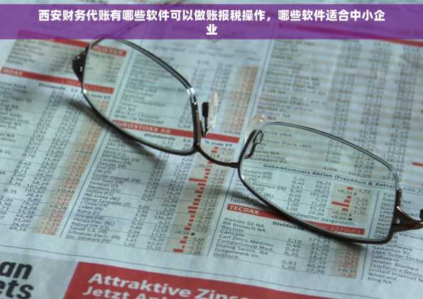 西安财务代账有哪些软件可以做账报税操作，哪些软件适合中小企业