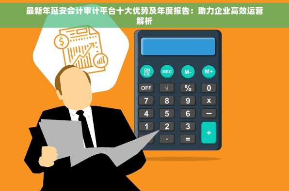 最新年延安会计审计平台十大优势及年度报告：助力企业高效运营解析