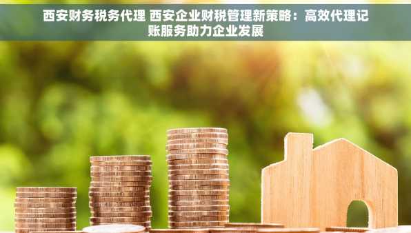 西安财务税务代理 西安企业财税管理新策略：高效代理记账服务助力企业发展