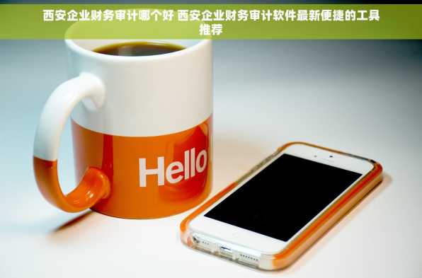 西安企业财务审计哪个好 西安企业财务审计软件最新便捷的工具推荐