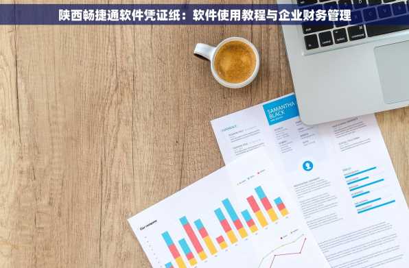 陕西畅捷通软件凭证纸：软件使用教程与企业财务管理