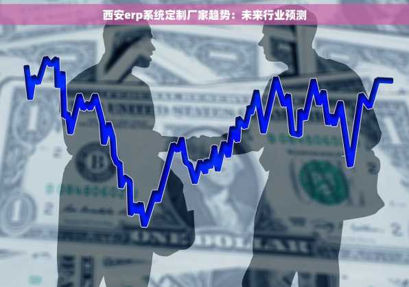 西安erp系统定制厂家趋势：未来行业预测