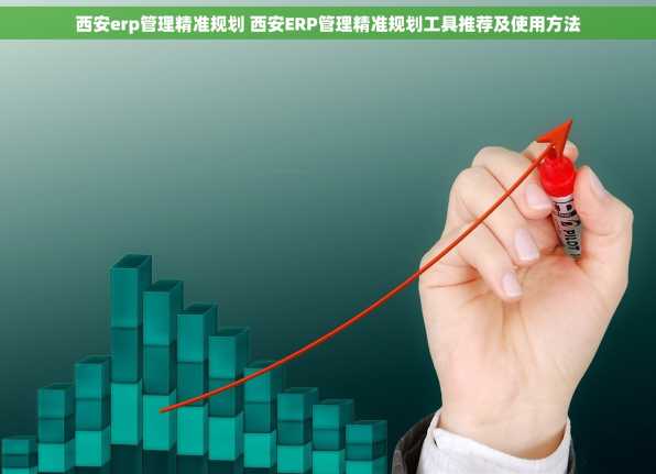 西安erp管理精准规划 西安ERP管理精准规划工具推荐及使用方法