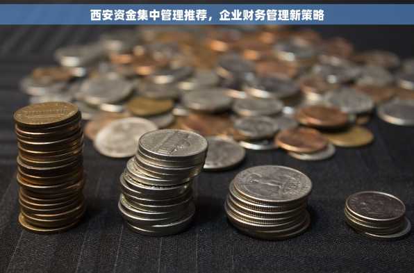 西安资金集中管理推荐，企业财务管理新策略