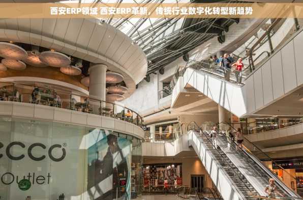 西安ERP领域 西安ERP革新，传统行业数字化转型新趋势