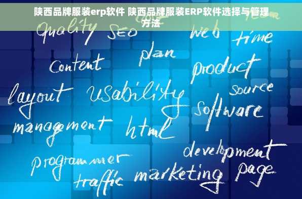 陕西品牌服装erp软件 陕西品牌服装ERP软件选择与管理方法