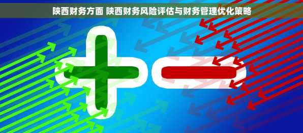 陕西财务方面 陕西财务风险评估与财务管理优化策略