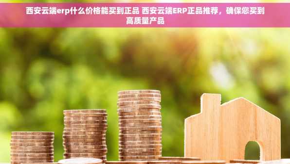 西安云端erp什么价格能买到正品 西安云端ERP正品推荐，确保您买到高质量产品