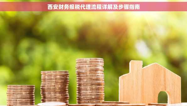 西安财务报税代理流程详解及步骤指南