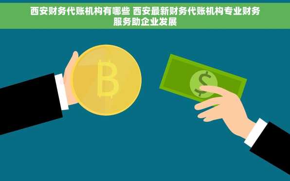 西安财务代账机构有哪些 西安最新财务代账机构专业财务服务助企业发展