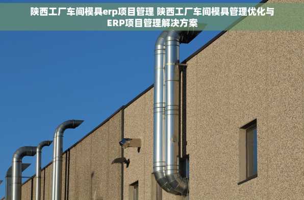 陕西工厂车间模具erp项目管理 陕西工厂车间模具管理优化与ERP项目管理解决方案