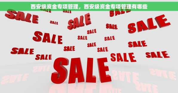 西安级资金专项管理，西安级资金专项管理有哪些