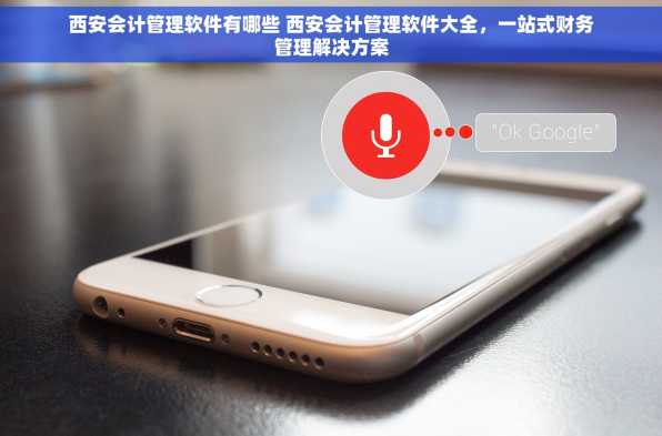西安会计管理软件有哪些 西安会计管理软件大全，一站式财务管理解决方案