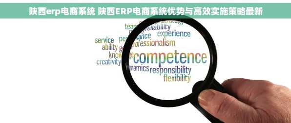 陕西erp电商系统 陕西ERP电商系统优势与高效实施策略最新