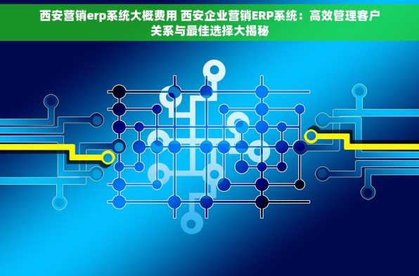 西安营销erp系统大概费用 西安企业营销ERP系统：高效管理客户关系与最佳选择大揭秘