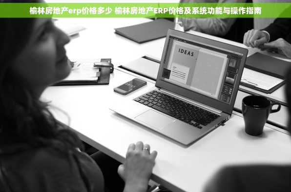 榆林房地产erp价格多少 榆林房地产ERP价格及系统功能与操作指南