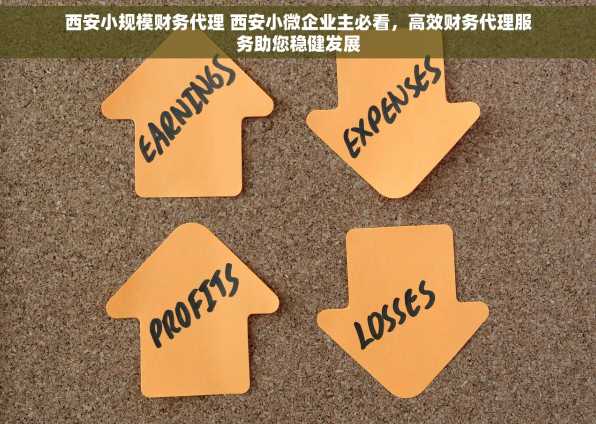 西安小规模财务代理 西安小微企业主必看，高效财务代理服务助您稳健发展