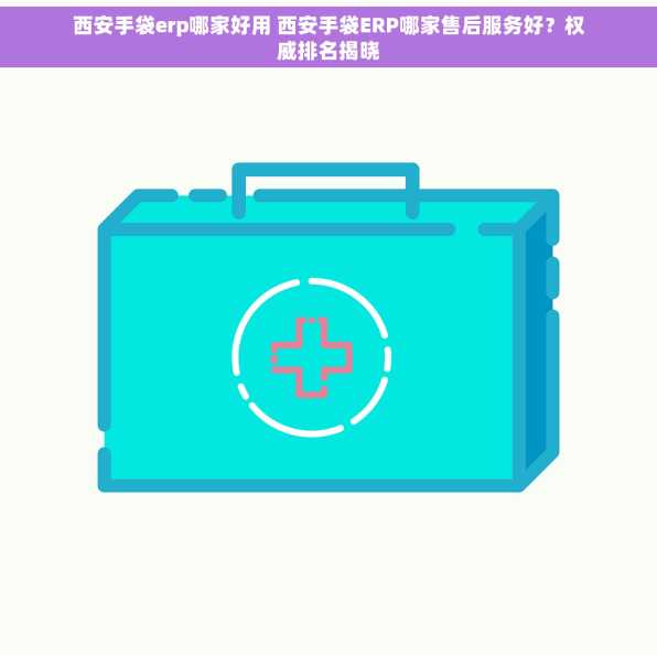 西安手袋erp哪家好用 西安手袋ERP哪家售后服务好？权威排名揭晓