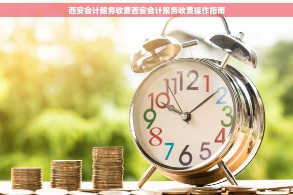 西安会计服务收费西安会计服务收费操作指南