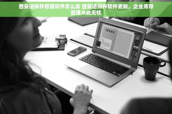 西安进销存管理软件怎么卖 西安进销存软件更新，企业库存管理从此无忧