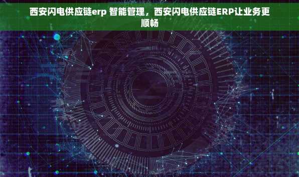 西安闪电供应链erp 智能管理，西安闪电供应链ERP让业务更顺畅