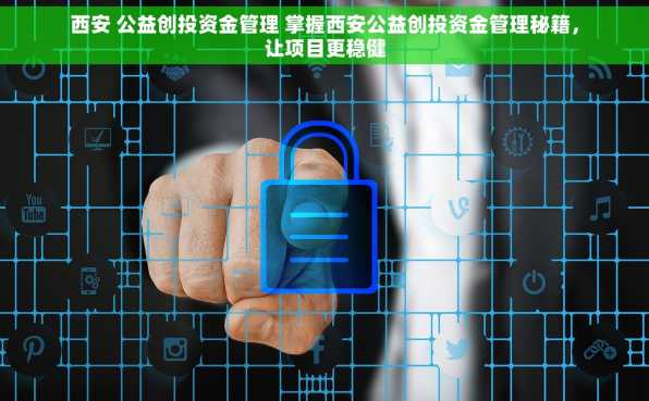 西安 公益创投资金管理 掌握西安公益创投资金管理秘籍，让项目更稳健