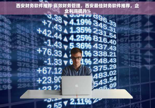 西安财务软件推荐 高效财务管理，西安最佳财务软件推荐，企业利润提升%