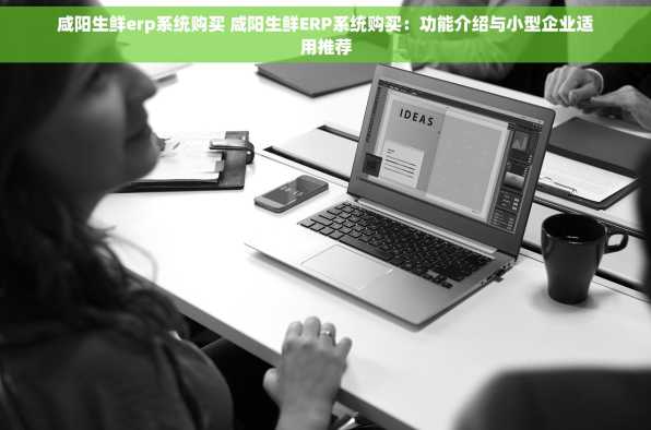 咸阳生鲜erp系统购买 咸阳生鲜ERP系统购买：功能介绍与小型企业适用推荐