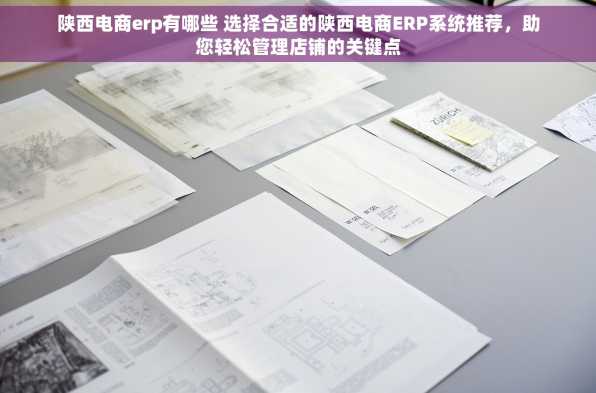 陕西电商erp有哪些 选择合适的陕西电商ERP系统推荐，助您轻松管理店铺的关键点