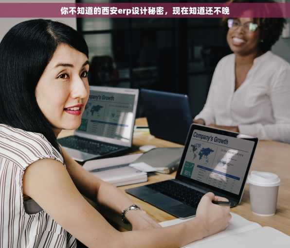 你不知道的西安erp设计秘密，现在知道还不晚