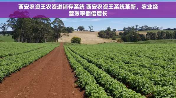 西安农资王农资进销存系统 西安农资王系统革新，农业经营效率翻倍增长