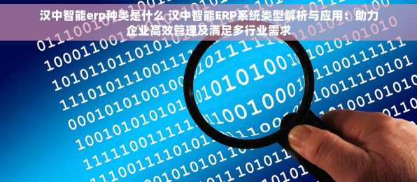 汉中智能erp种类是什么 汉中智能ERP系统类型解析与应用：助力企业高效管理及满足多行业需求