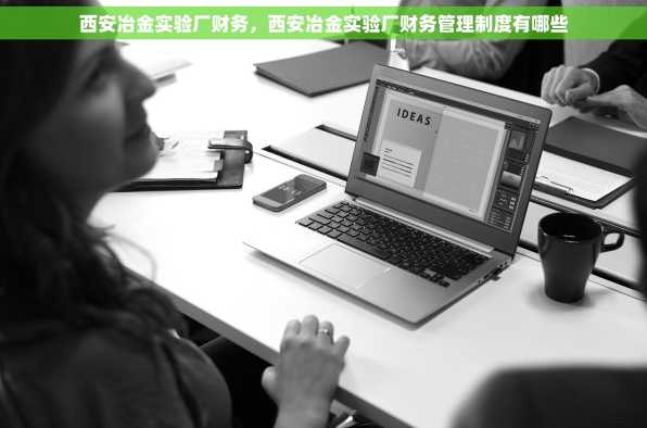 西安冶金实验厂财务，西安冶金实验厂财务管理制度有哪些