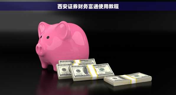 西安证券财务富通使用教程